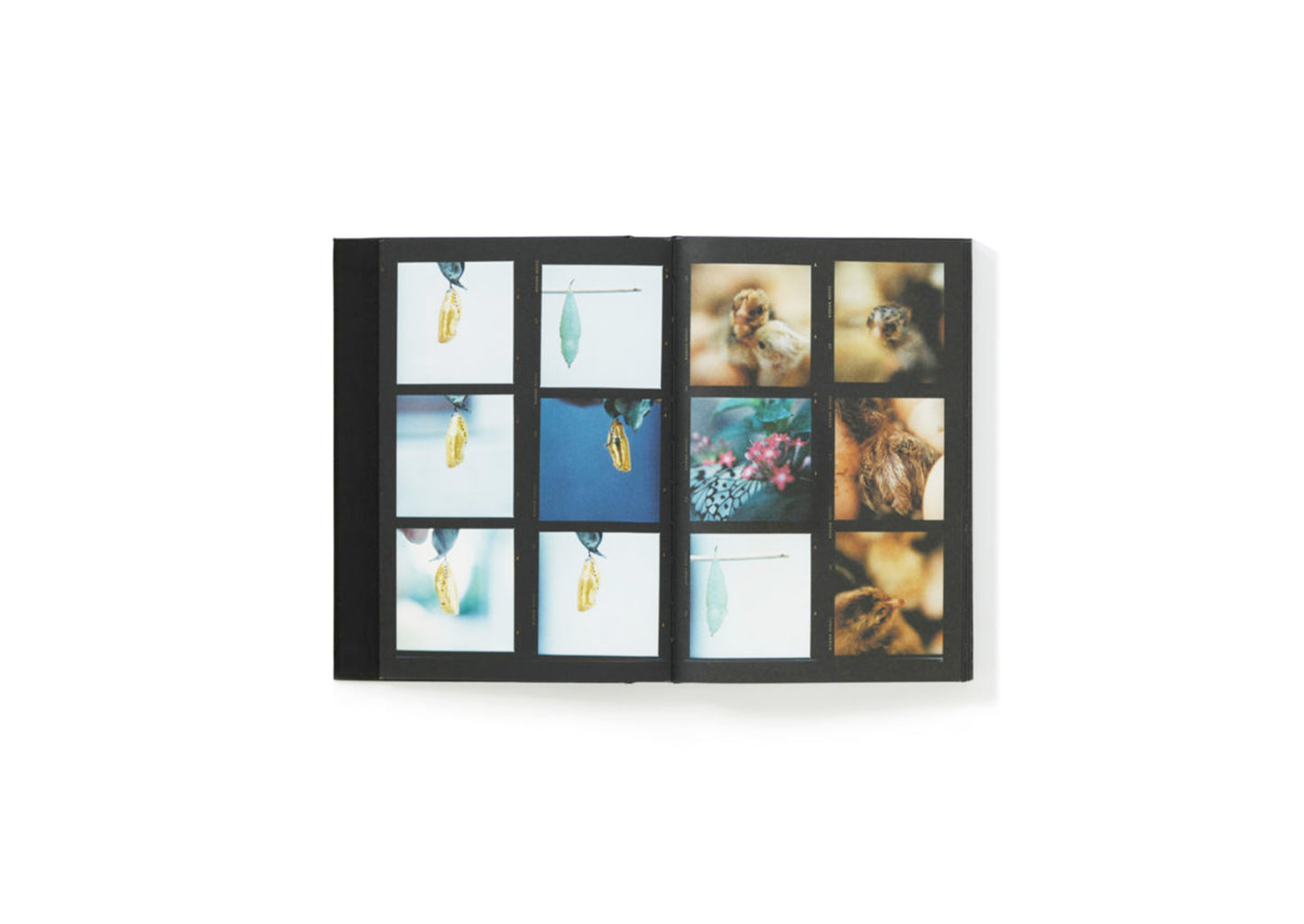 Rinko Kawauchi - Sheets